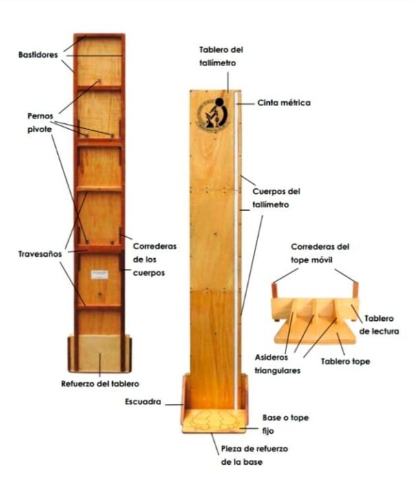 Tallímetro Móvil de Madera Adulto