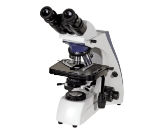 Microscopio Binocular Great Lab XSZ-159