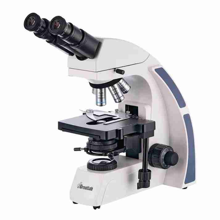 Microscopio Binocular XSZ-166 GreatLab Microscopio Binocular XSZ-166 GreatLab