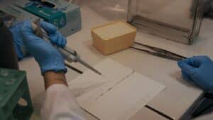 Técnico de laboratorio utiliza una micropipeta para depositar una muestra durante un procedimiento de análisis.